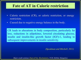 Major credit seminar, Dept of Vety. Biochemistry, VCH, Hebbal, Bangalore
• Calorie restriction (CR), or caloric restriction, or energy
restriction.
• Caused due to negative energy balance in the body.
(Speakman and Mitchell, 2011)
Fate of AT in Calorie restriction
CR leads to alterations in body composition, particularly fat
loss, reductions in adipokines, lowered circulating glucose,
insulin and insulin-like growth factor (IGF)-1, leading to
subsequent improvements in insulin sensitivity.
 