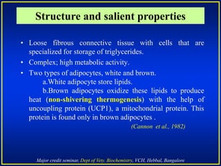 Major credit seminar, Dept of Vety. Biochemistry, VCH, Hebbal, Bangalore
• Loose fibrous connective tissue with cells that are
specialized for storage of triglycerides.
• Complex; high metabolic activity.
• Two types of adipocytes, white and brown.
a.White adipocyte store lipids.
b.Brown adipocytes oxidize these lipids to produce
heat (non-shivering thermogenesis) with the help of
uncoupling protein (UCP1), a mitochondrial protein. This
protein is found only in brown adipocytes .
(Cannon et al., 1982)
Structure and salient properties
 