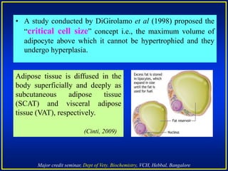 Major credit seminar, Dept of Vety. Biochemistry, VCH, Hebbal, Bangalore
• A study conducted by DiGirolamo et al (1998) proposed the
“critical cell size” concept i.e., the maximum volume of
adipocyte above which it cannot be hypertrophied and they
undergo hyperplasia.
Adipose tissue is diffused in the
body superficially and deeply as
subcutaneous adipose tissue
(SCAT) and visceral adipose
tissue (VAT), respectively.
(Cinti, 2009)
 