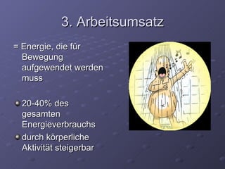 3. Arbeitsumsatz = Energie, die für Bewegung aufgewendet werden muss 20-40% des gesamten Energieverbrauchs durch körperliche Aktivität steigerbar 