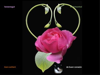 herzensgut         kind-hearted




bien-veillant   de buen corazón
 