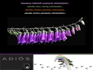 bezaubernd, heldenhaft, ausdauernd, individualistisch…
       adorable, heoic, untiring, individualistic…
    adorable, héroïque, persistant, individualiste...
   adorable, heróico, persistente, individualistico...
 