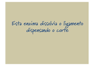 Esta enzima dissolvia o ligamento
dispensando o corte
 