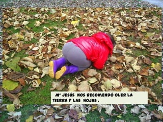 Mª Jesús nos recomendó oler la
tierra y las hojas .

 