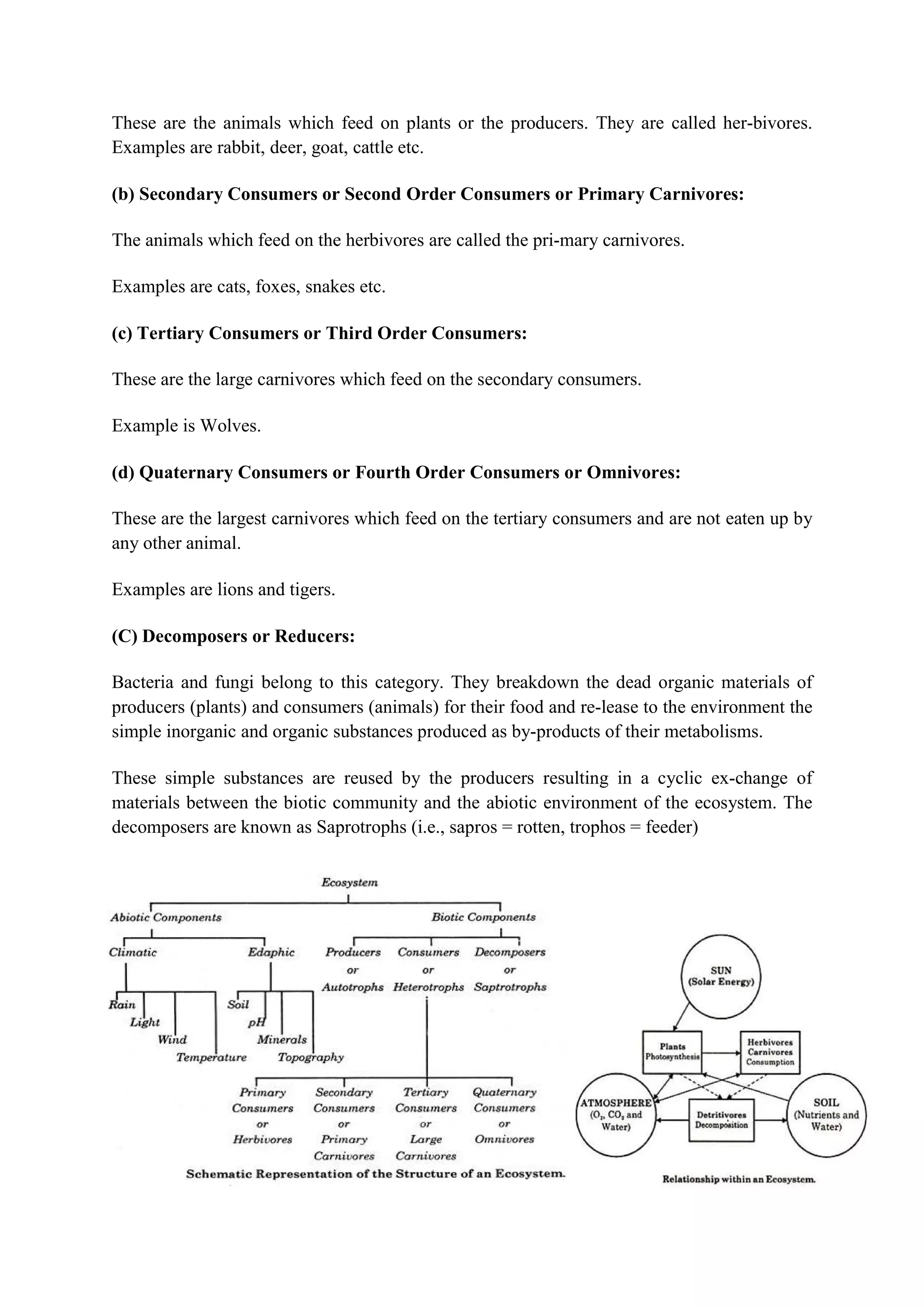 ADIS Study notes.pdf