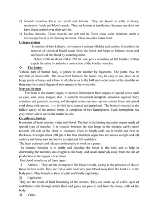 ADIS Study notes.pdf