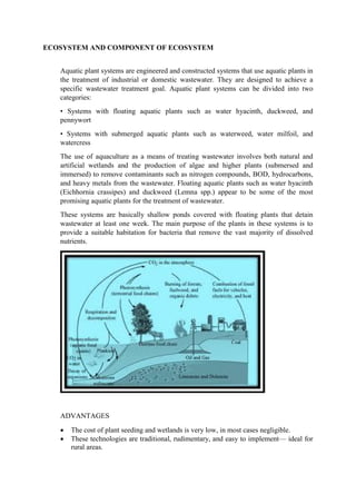 ADIS Study notes.pdf