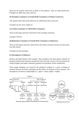 ADIS Study notes.pdf