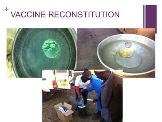 Scaling up the delivery of ITM in Tanzania through facilitation of the ITM value chain: A distributors perspective