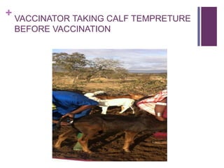 Scaling up the delivery of ITM in Tanzania through facilitation of the ITM value chain: A distributors perspective