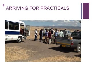 Scaling up the delivery of ITM in Tanzania through facilitation of the ITM value chain: A distributors perspective