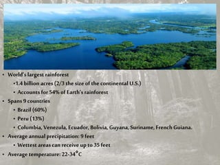 • World’s largest rainforest
•1.4 billion acres(2/3 the size of the continental U.S.)
• Accountsfor 54% of Earth’srainforest
• Spans 9 countries
• Brazil (60%)
• Peru(13%)
• Columbia, Venezula, Ecuador, Bolivia, Guyana, Suriname, FrenchGuiana.
• Average annualprecipitation: 9 feet
• Wettest areascanreceive up to 35 feet
• Average temperature:22-34°C
 