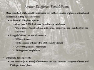 Amazon Rainforest: Flora & Fauna
• More thanhalf ofthe world's estimated ten million species of plants, animals and
insects live in tropical rainforests.
• At least 40,000 plant species
• More than3,000 fruitsare found in the rainforest
• 70% of plants found to have anti-cancerproperties arefound only in the
rainforest.
• Roughly30%oftheworlds animals
• 90% areinsects
• 1,500 species of birds (1/3 ofthe world’s total)
• Over 400 species of mammals .
• 165 types of amphibian .
• Extremely dense growth
• Onehectare (2.47 acres) of rainforestcan contain over 750 types of treesand
1500 species ofplants.
 