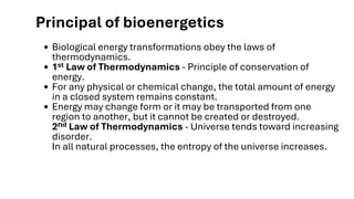 This document is about overview of Bioenergetics. Some key concepts of ...