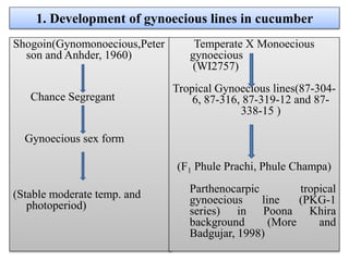 1. Development of gynoecious lines in cucumber
Shogoin(Gynomonoecious,Peter
son and Anhder, 1960)
Chance Segregant
Gynoecious sex form
(Stable moderate temp. and
photoperiod)
Temperate X Monoecious
gynoecious
(WI2757)
Tropical Gynoecious lines(87-304-
6, 87-316, 87-319-12 and 87-
338-15 )
(F1 Phule Prachi, Phule Champa)
Parthenocarpic tropical
gynoecious line (PKG-1
series) in Poona Khira
background (More and
Badgujar, 1998)
 