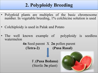 • Polyploid plants are multiples of the basic chromosome
number. In vegetable breeding, 1% colchicine solution is used
• Colchiploidy is used in Palak and Potato
• The well known example of polyploidy is seedless
watermelon
4n Seed parent X 2n pollen parent
(Tetra-2) (Pusa Rasal)
F1 (Pusa Bedana)
(Sterile 3n plant)
2. Polyploidy Breeding
 