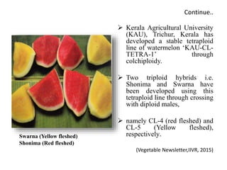 Continue..
 Kerala Agricultural University
(KAU), Trichur, Kerala has
developed a stable tetraploid
line of watermelon ‘KAU-CL-
TETRA-1’ through
colchiploidy.
 Two triploid hybrids i.e.
Shonima and Swarna have
been developed using this
tetraploid line through crossing
with diploid males,
 namely CL-4 (red fleshed) and
CL-5 (Yellow fleshed),
respectively.
(Vegetable Newsletter,IIVR, 2015)
Swarna (Yellow fleshed)
Shonima (Red fleshed)
 