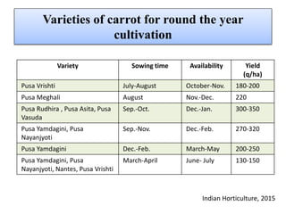 Varieties of carrot for round the year
cultivation
Variety Sowing time Availability Yield
(q/ha)
Pusa Vrishti July-August October-Nov. 180-200
Pusa Meghali August Nov.-Dec. 220
Pusa Rudhira , Pusa Asita, Pusa
Vasuda
Sep.-Oct. Dec.-Jan. 300-350
Pusa Yamdagini, Pusa
Nayanjyoti
Sep.-Nov. Dec.-Feb. 270-320
Pusa Yamdagini Dec.-Feb. March-May 200-250
Pusa Yamdagini, Pusa
Nayanjyoti, Nantes, Pusa Vrishti
March-April June- July 130-150
Indian Horticulture, 2015
 