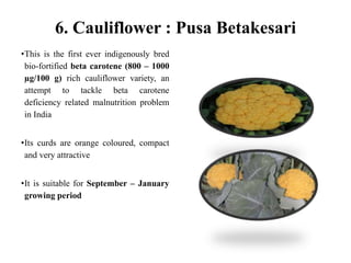 6. Cauliflower : Pusa Betakesari
•This is the first ever indigenously bred
bio-fortified beta carotene (800 – 1000
µg/100 g) rich cauliflower variety, an
attempt to tackle beta carotene
deficiency related malnutrition problem
in India
•Its curds are orange coloured, compact
and very attractive
•It is suitable for September – January
growing period
 