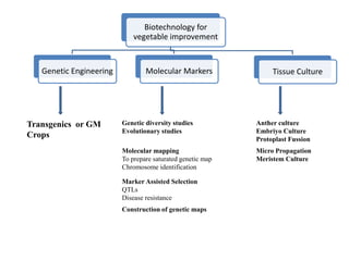 Transgenics or GM
Crops
Genetic diversity studies
Evolutionary studies
Anther culture
Embriyo Culture
Protoplast Fussion
Molecular mapping
To prepare saturated genetic map
Chromosome identification
Micro Propagation
Meristem Culture
Marker Assisted Selection
QTLs
Disease resistance
Construction of genetic maps
Biotechnology for
vegetable improvement
Genetic Engineering Molecular Markers Tissue Culture
 