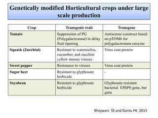 Genetically modified Horticultural crops under large
scale production
Crop Transgenic trait Transgene
Tomato Suppression of PG
(Polygalactronase) to delay
fruit ripening
Antiscense construct based
on pTOM6 for
polygalactronase enzyme
Squash (Zucchini) Resistant to watermelon,
cucumber, and zucchini
yellow mosaic viruses
Virus coat protein
Sweet pepper Resistance to viruses Virus coat protein
Sugar beet Resistant to glyphosate
herbicide
-
Soyabean Resistant to glyphosate
herbicide
Glyphosate resistant
bacterial EPSPS gene, bar
gene
Bhojwani SS and Dantu PK. 2013
 