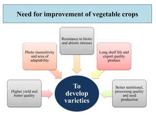 Need for improvement of vegetable crops
To
develop
varieties
Higher yield and
better quality
Photo insensitivity
and area of
adaptability
Resistance to biotic
and abiotic stresses
Long shelf life and
export quality
produce
Better nutritional,
processing quality
and seed
production
 