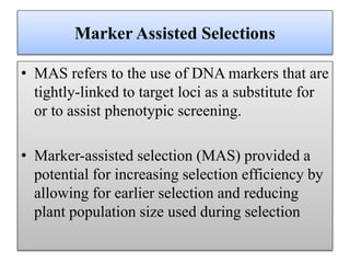 Marker Assisted Selections
• MAS refers to the use of DNA markers that are
tightly-linked to target loci as a substitute for
or to assist phenotypic screening.
• Marker-assisted selection (MAS) provided a
potential for increasing selection efficiency by
allowing for earlier selection and reducing
plant population size used during selection
 