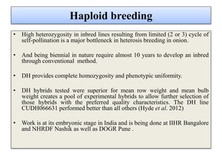 Haploid breeding
• High heterozygosity in inbred lines resulting from limited (2 or 3) cycle of
self-pollination is a major bottleneck in heterosis breeding in onion.
• And being biennial in nature require almost 10 years to develop an inbred
through conventional method.
• DH provides complete homozygosity and phenotypic uniformity.
• DH hybrids tested were superior for mean row weight and mean bulb
weight creates a pool of experimental hybrids to allow further selection of
those hybrids with the preferred quality characteristics. The DH line
CUDH066631 performed better than all others (Hyde et al. 2012)
• Work is at its embryonic stage in India and is being done at IIHR Bangalore
and NHRDF Nashik as well as DOGR Pune .
 