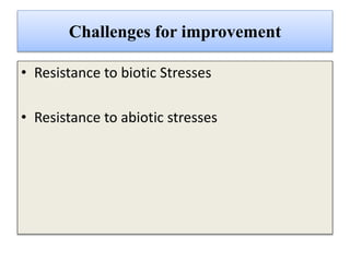 Challenges for improvement
• Resistance to biotic Stresses
• Resistance to abiotic stresses
 