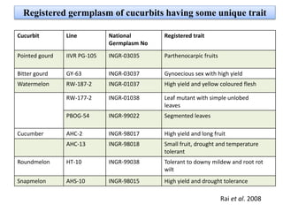 Registered germplasm of cucurbits having some unique trait
Cucurbit Line National
Germplasm No
Registered trait
Pointed gourd IIVR PG-105 INGR-03035 Parthenocarpic fruits
Bitter gourd GY-63 INGR-03037 Gynoecious sex with high yield
Watermelon RW-187-2 INGR-01037 High yield and yellow coloured flesh
RW-177-2 INGR-01038 Leaf mutant with simple unlobed
leaves
PBOG-54 INGR-99022 Segmented leaves
Cucumber AHC-2 INGR-98017 High yield and long fruit
AHC-13 INGR-98018 Small fruit, drought and temperature
tolerant
Roundmelon HT-10 INGR-99038 Tolerant to downy mildew and root rot
wilt
Snapmelon AHS-10 INGR-98015 High yield and drought tolerance
Rai et al. 2008
 