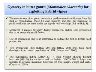Gynoecy in bitter gourd (Momordica charantia) for
exploiting hybrid vigour
 The monoecious bitter gourd accessions produce staminate flowers from the
start of reproductive phase till crop maturity and thus the staminate to
pistillate flower sex ratio in this sex type is relatively high (9:1 to 48:1; 3).
 Moreover, it creates difficulty during commercial hybrid seed production
due to its extremely small flower.
 Use of gynoecious line is an alternative to reduce the cost of hybrid seed
production.
 Two gynoecious lines (DBGy 201 and DBGy 202) lines have been
developed from natural population at IARI (Behera et al. 2006)
 The gynoecious hybrid DBGY-201 × Pusa Vishesh showed highest
heterosis (-19 %) for earliness and the hybrid DBGY- 201 × Priya was
reported to provide maximum heterosis for fruit length, weight and yield.
(Dey et al. 2008)
 