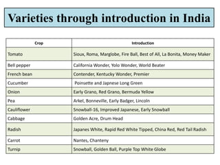 Varieties through introduction in India
Crop Introduction
Tomato Sioux, Roma, Marglobe, Fire Ball, Best of All, La Bonita, Money Maker
Bell pepper California Wonder, Yolo Wonder, World Beater
French bean Contender, Kentucky Wonder, Premier
Cucumber Poinsette and Japnese Long Green
Onion Early Grano, Red Grano, Bermuda Yellow
Pea Arkel, Bonneville, Early Badger, Lincoln
Cauliflower Snowball-16, Improved Japanese, Early Snowball
Cabbage Golden Acre, Drum Head
Radish Japanes White, Rapid Red White Tipped, China Red, Red Tail Radish
Carrot Nantes, Chanteny
Turnip Snowball, Golden Ball, Purple Top White Globe
 