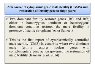 New source of cytoplasmic genic male sterility (CGMS) and
restoration of fertility gene in ridge gourd
 Two dominant fertility restorer genes (Rf1 and Rf2)
either in homozygous dominant or heterozygous
dominant condition restores the male fertility in
presence of sterile cytoplasm (Arka Sumeet)
 This is the first report of cytoplasmically controlled
male sterility (CMS) in cucurbits where two dominant
male fertility restorer nuclear genes with
complementary gene action governed the restoration of
male fertility (Kannan et al. 2014)
 