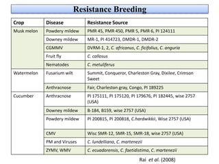Resistance Breeding
Crop Disease Resistance Source
Musk melon Powdery mildew PMR 45, PMR 450, PMR 5, PMR 6, PI 124111
Downey mildew MR-1, PI 414723, DMDR-1, DMDR-2
CGMMV DVRM-1, 2, C. africanus, C. ficifolius, C. anguria
Fruit fly C. callosus
Nematodes C. metuliferus
Watermelon Fusarium wilt Summit, Conqueror, Charleston Gray, Dixilee, Crimson
Sweet
Anthracnose Fair, Charleston gray, Congo, PI 189225
Cucumber Anthracnose PI 175111, PI 175120, PI 179676, PI 182445, wise 2757
(USA)
Downey mildew B-184, B159, wise 2757 (USA)
Powdery mildew PI 200815, PI 200818, C.hardwikkii, Wise 2757 (USA)
CMV Wisc SMR-12, SMR-15, SMR-18, wise 2757 (USA)
PM and Viruses C. lundelliana, C. martenezii
ZYMV, WMV C. ecuadorensis, C. faetidistima, C. martenezii
Rai et al. (2008)
 