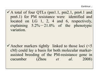 Continue ..
A total of four QTLs (pm1.1, pm2.1, pm4.1 and
pm6.1) for PM resistance were identified and
located on LG 1, 2, 4 and 6, respectively,
explaining 5.2%－21.0% of the phenotypic
variation.
Anchor markers tightly linked to those loci (<5
cM) could lay a basis for both molecular marker-
assisted breeding of the PM-resistance gene in
cucumber (Zhou et al. 2008)
 