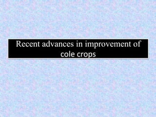 Recent advances in improvement of
cole crops
 