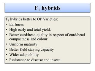 F1 hybrids
F1 hybrids better to OP Varieties:
• Earliness
• High early and total yield,
• Better curd/head quality in respect of curd/head
compactness and colour
• Uniform maturity
• Better field staying capacity
• Wider adaptability
• Resistance to disease and insect
 