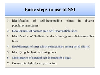 Basic steps in use of SSI
1. Identification of self-incompatible plants in diverse
population/genotypes.
2. Development of homozygous self-incompatible lines.
3. Identification of S-alleles in the homozygous self-incompatible
lines.
4. Establishment of inter-allelic relationships among the S-alleles.
5. Identifying the best combining lines.
6. Maintenance of parental self-incompatible lines.
7. Commercial hybrid seed production.
 