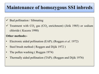 Maintenance of homozygous SSI inbreds
 Bud pollination / Sibmating
 Treatment with CO2 gas (CO2 enrichment) (Jirik 1985) or sodium
chloride ( Kucera 1990)
Other methods:-
• Electronic aided pollination (EAP); (Roggen et al. 1972)
• Steel brush method ( Roggen and Dijik 1972 )
• The pollen washing ( Roggen 1974)
• Thermally aided pollination (TAP); (Roggen and Dijik 1976)
 