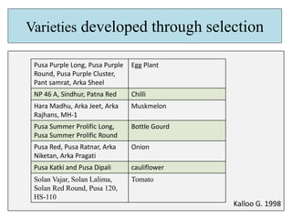 Varieties developed through selection
Kalloo G. 1998
Pusa Purple Long, Pusa Purple
Round, Pusa Purple Cluster,
Pant samrat, Arka Sheel
Egg Plant
NP 46 A, Sindhur, Patna Red Chilli
Hara Madhu, Arka Jeet, Arka
Rajhans, MH-1
Muskmelon
Pusa Summer Prolific Long,
Pusa Summer Prolific Round
Bottle Gourd
Pusa Red, Pusa Ratnar, Arka
Niketan, Arka Pragati
Onion
Pusa Katki and Pusa Dipali cauliflower
Solan Vajar, Solan Lalima,
Solan Red Round, Pusa 120,
HS-110
Tomato
 
