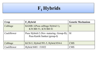F1 Hybrids
Crop F1 Hybrid Genetic Mechanism
Cabbage KGMR-1(Pusa cabbage Hybrid 1),
KTCBH 51, KTCBH 81
SI
Cauliflower Pusa Hybrid-2 (Nov maturing, Group-II),
Pusa Kartik Sankar (group-I)
SI
Cabbage KCH-5, Hybrid 991-5, Hybrid 854-6 CMS
Cauliflower Hybrid 8401 ×31022 CMS
 