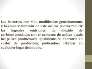 Las bacterias han sido modificadas genéticamente,
y la comercialización de este azúcar podría reducir
las    ingentes     emisiones   de    dióxido    de
carbono asociadas con el transporte de azúcar desde
los países productores. Igualmente, se ahorraría en
costos de producción, pudiéndose fabricar en
cualquier lugar del mundo.
 