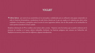 YOGURT
Cultivos lácticos: por razón de sus características al ser procesadas y multiplicadas para su utilización como grupo comprenden un
caldo de bacterias fermentadoras y productoras de ácido láctico, función por la que son usadas en la industria para darle ciertas
cualidades a los alimentos y protegerlos contra la acción de otros organismos dañinos. Uno de ellos pueden ser los lactobacillios los
cuales aportan al producto un buen cuidado.
Beneficios: disminución de PH en cambios como textura sabor y aroma. Perjuicios: como las toxinas, que se pueden evidenciar por la
presencia de manchas en el queso, sabores indeseables, hinchazón. Las bacterias patógenas más comunes son Escherichia coli,
Staphylococcus aureus y otros como los coliformes y algunas enterobacterias.
 