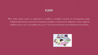 KUMIS
Los cultivos lácticos pueden ser categorizados en mesofílicos o termofílicos: musernck Los microorganismos pueden
multiplicarse eficientemente en función de la temperatura; psicrofílicos; a temperaturas de refrigeración e incluso congelación,
mesofílicos; entre 20 y 35 °C y los termófilos entre 35 y 50 °C. En el caso de los alimentos, los más utilizados son los dos últimos.
 