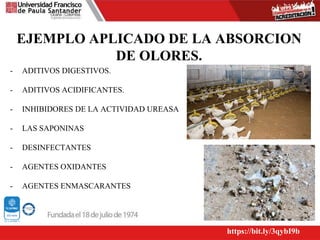 EJEMPLO APLICADO DE LA ABSORCION
DE OLORES.
- ADITIVOS DIGESTIVOS.
- ADITIVOS ACIDIFICANTES.
- INHIBIDORES DE LA ACTIVIDAD UREASA
- LAS SAPONINAS
- DESINFECTANTES
- AGENTES OXIDANTES
- AGENTES ENMASCARANTES
https://bit.ly/3qybI9b
 
