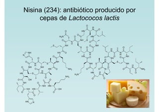 Nisina (234): antibiótico producido por
cepas de Lactococos lactis
 