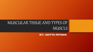 MUSCULAR TISSUE AND TYPES OF
MUSCLS
BY:- ADITYA PATIDAR
 