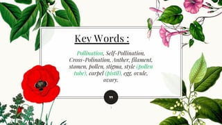 ”
Pollination, Self-Pollination,
Cross-Polination, Anther, filament,
stamen, pollen, stigma, style (pollen
tube), carpel (pistil), egg, ovule,
ovary.
3
Key Words :
 