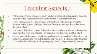 Learning Aspects :
➢ Pollination : The process of transfer and deposition of pollen grains from the
another to the stigmatic surface of the flower is called pollination.
➢ I. Self Pollination It is the process of transfer of pollen grains from the
another to the stigma of either the same flower or another flower borne on
the same plant.
➢ II. Cross Pollination : Cross Pollination involves the transfer of pollen grains
from the flower of one plant to the stigma of the flower of another plant.
➢ On the basis of the agents that bring pollination, the mode of pollination is as
follows :1. Anemophily (Wind) 2. Hydrophily (Water) 3. Entomophily (Insects)
4. Ornithophily (Birds) 5. Chiropterophily (Bats) 6. Myrmecophily (Ants)
 