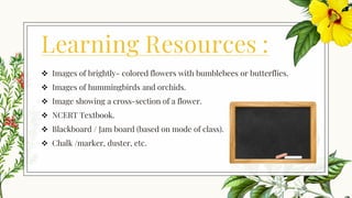 Learning Resources :
❖ Images of brightly- colored flowers with bumblebees or butterflies.
❖ Images of hummingbirds and orchids.
❖ Image showing a cross-section of a flower.
❖ NCERT Textbook.
❖ Blackboard / Jam board (based on mode of class).
❖ Chalk /marker, duster, etc.
 